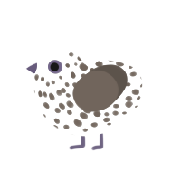 (unnamed), a white and bark chicken with a speckle pattern