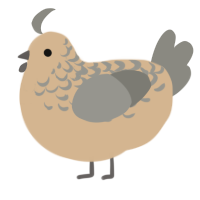 A beige and ash chicken with a half-lace pattern