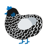 A sable and mist chicken with a lace pattern