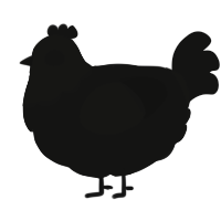 A black chicken with a head pattern