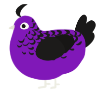 A violet and sable chicken with a half-lace pattern