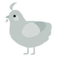 A silver chicken
