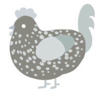 A ash and silver chicken with a speckle pattern