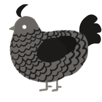 A grey and sable chicken with a lace pattern