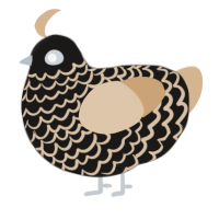 A sable and beige chicken with a lace pattern