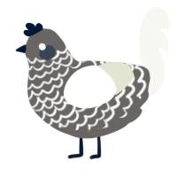 A grey and white chicken with a lace pattern