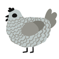 A silver and ash chicken with a lace pattern