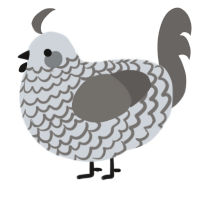 A mist and grey chicken with a lace pattern