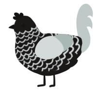A sable and silver chicken with a lace pattern
