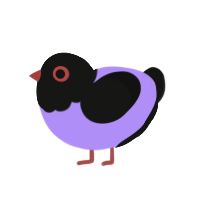 A lilac and black chicken with a head pattern