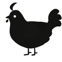 A black chicken