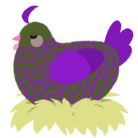 A olive and violet chicken with a lace pattern