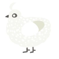 A white chicken with a speckle pattern