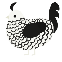 A white and sable chicken with a lace pattern
