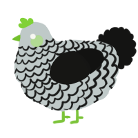 A silver and black chicken with a lace pattern