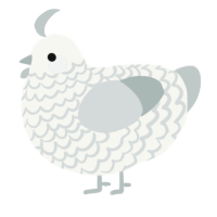 A white and silver chicken with a lace pattern