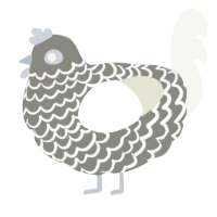 A ash and white chicken with a lace pattern