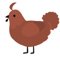 A russet chicken with a head pattern