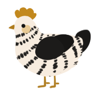 A cream and sable chicken with a bar pattern