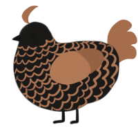 A sable and brown chicken with a lace pattern