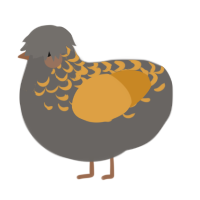 A grey and orange chicken with a half-lace pattern