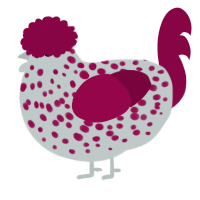 A silver and maroon chicken with a speckle pattern