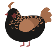 A sable and brown chicken with a half-lace pattern