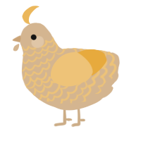 A beige and honey chicken with a lace pattern