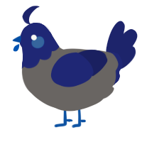 A grey and navy chicken with a head pattern