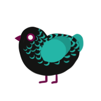 Merlin, a black and turquoise chicken with a half-lace pattern