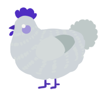 A mist and silver chicken with a bar pattern