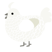 A white chicken with a lace pattern
