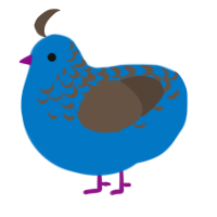 A sapphire and bark chicken with a half-lace pattern