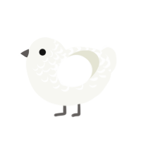 A white chicken with a half-lace pattern