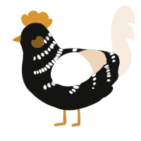 A black and cream chicken with a half-bar pattern