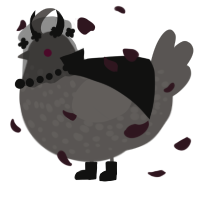 A grey chicken with a speckle pattern
