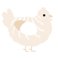 A cream chicken with a half-bar pattern
