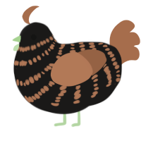 A sable and brown chicken with a bar pattern