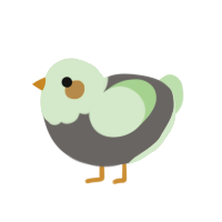 Glomp, a grey and gluppy chicken with a head pattern