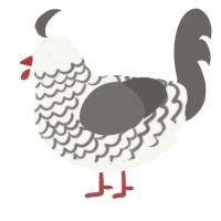 A white and grey chicken with a lace pattern
