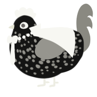 A black and ash chicken with a speckle pattern