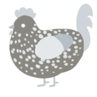 A ash and mist chicken with a speckle pattern
