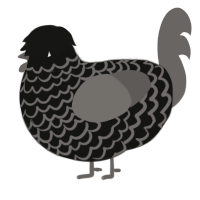 A black and grey chicken with a lace pattern