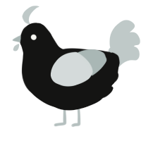 A black and silver chicken