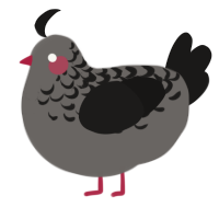 A grey and sable chicken with a half-lace pattern