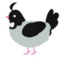 A silver and black chicken with a head pattern