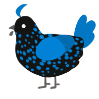 A black and sapphire chicken with a speckle pattern