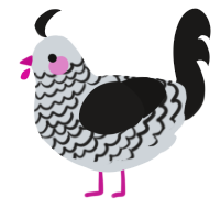 A mist and sable chicken with a lace pattern
