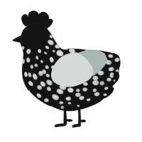 A black and silver chicken with a speckle pattern