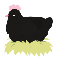 A sable chicken with a speckle pattern